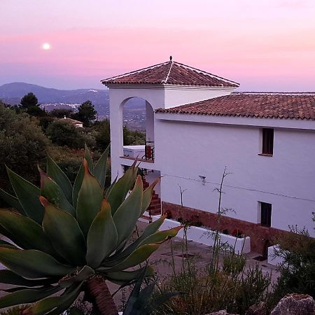 Casa Arts Guest Rooms Alcaucín エクステリア 写真
